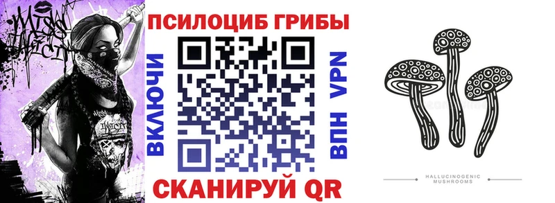 Псилоцибиновые грибы Psilocybine cubensis Харовск